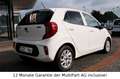 Kia Picanto 1.2 Dream Team Edition KLIMA SHZG Blanc - thumbnail 5