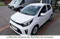 Kia Picanto 1.2 Dream Team Edition KLIMA SHZG Blanc - thumbnail 11