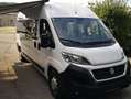 Fiat Ducato 250/C7MFC/HY Camper Blanco - thumbnail 1