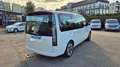 Hyundai STARIA 2.2 CRDi Trend 9-Sitzer Automatik 2WD Weiß - thumbnail 5