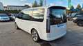 Hyundai STARIA 2.2 CRDi Trend 9-Sitzer Automatik 2WD Weiß - thumbnail 3