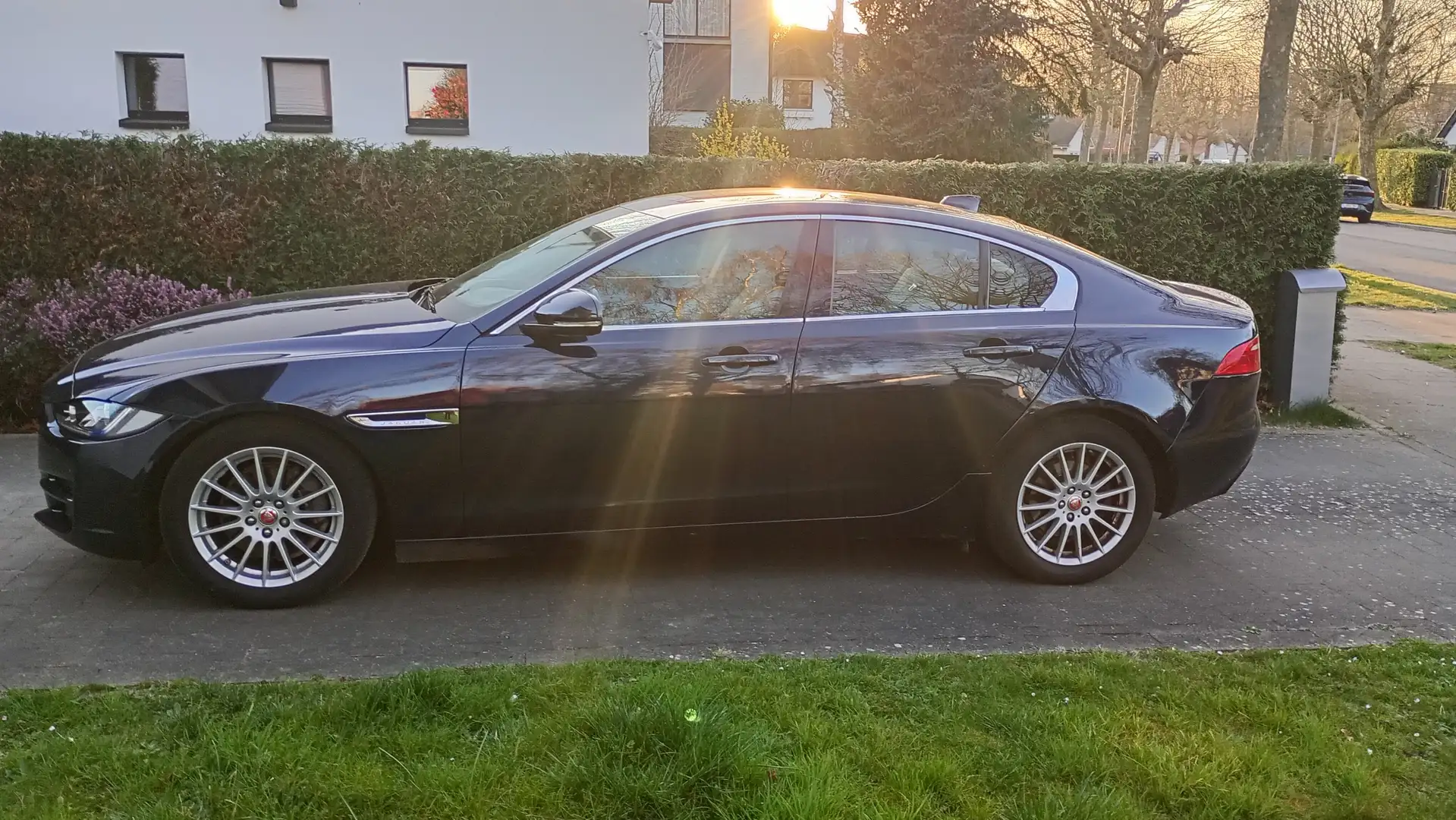 Jaguar XE Performance Aut. Prestige Bleu - 1