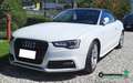 Audi A5 A5 Cabrio S-Line 2.0 tdi 190cv multitronic Bianco - thumbnail 4