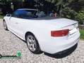 Audi A5 A5 Cabrio S-Line 2.0 tdi 190cv multitronic Bianco - thumbnail 6