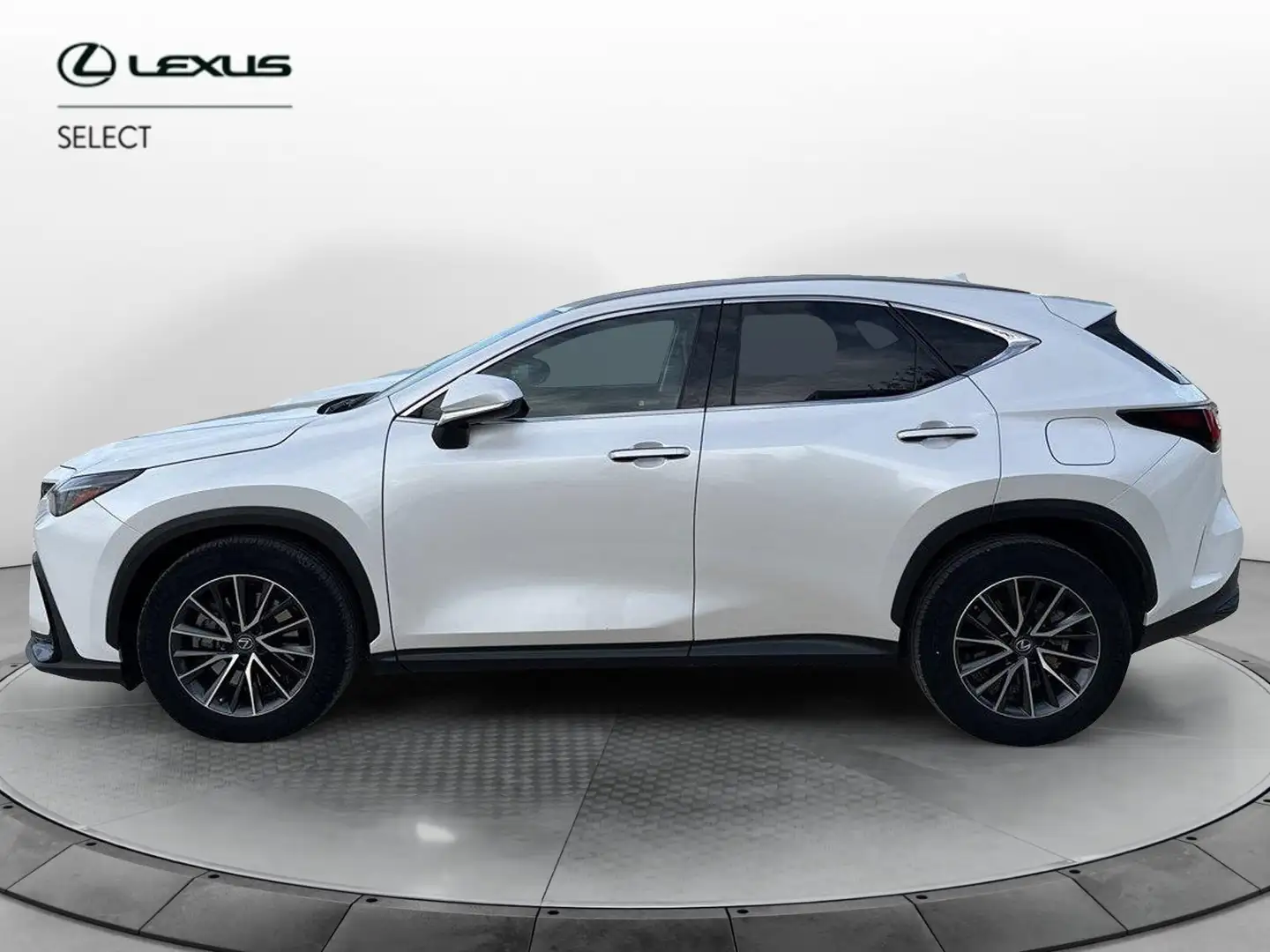 Lexus NX 300 Plug-in 4WD Premium Білий - 2