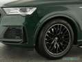 Audi Q7 55 3.0 TFSI quattro S line Luft/Alu-20/Kamera Grün - thumbnail 14