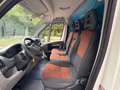 Fiat Ducato Ducato 35 2.2 MJT PC-TN Furgone Bianco - thumbnail 11