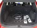 Ford Kuga 2.5 PHEV ST-Line X | Trekhaak | Head Up | Parkeerc Rood - thumbnail 8