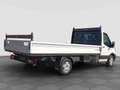 Ford Transit 350 2.0TDCi HDT 165CV RWD PL-SL Cab.Trend Bianco - thumbnail 6