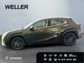 Lexus UX 300h Tech.Paket*dig CP*SHZ*Kamera*TWA*CarPlay*SmartKey* Verde - thumbnail 2