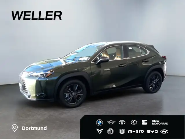 Lexus UX 300h Tech.Paket*dig CP*SHZ*Kamera*TWA*CarPlay*SmartKey*