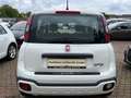 Fiat Panda Panda 1.0 GSE Hybrid City Plus Blanc - thumbnail 5
