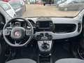 Fiat Panda Panda 1.0 GSE Hybrid City Plus Blanc - thumbnail 9