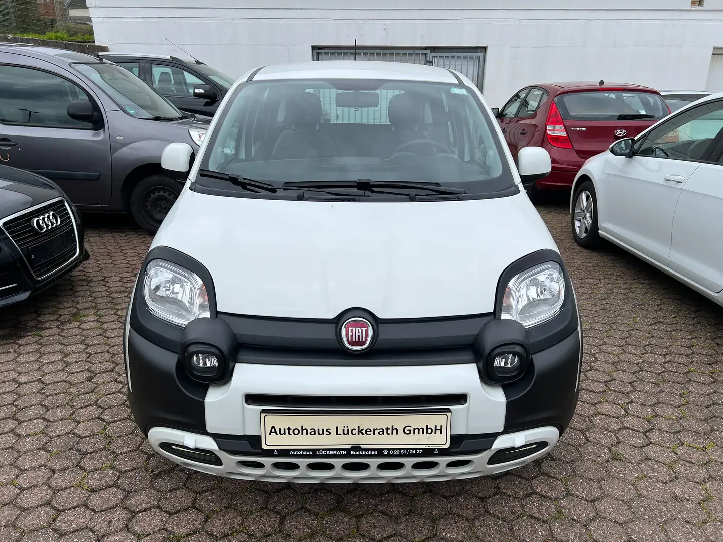 Fiat Panda Panda 1.0 GSE Hybrid City Plus Blanc - 2