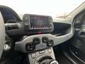 Fiat Panda Panda 1.0 GSE Hybrid City Plus Blanc - thumbnail 10