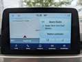 Ford Kuga 2.5 PHEV Titanium LED*iACC*NAV*HUD*TWA*4xSHZ Gris - thumbnail 14