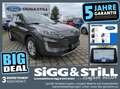 Ford Kuga 2.5 PHEV Titanium LED*iACC*NAV*HUD*TWA*4xSHZ Gris - thumbnail 1