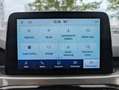 Ford Kuga 2.5 PHEV Titanium LED*iACC*NAV*HUD*TWA*4xSHZ Gris - thumbnail 16