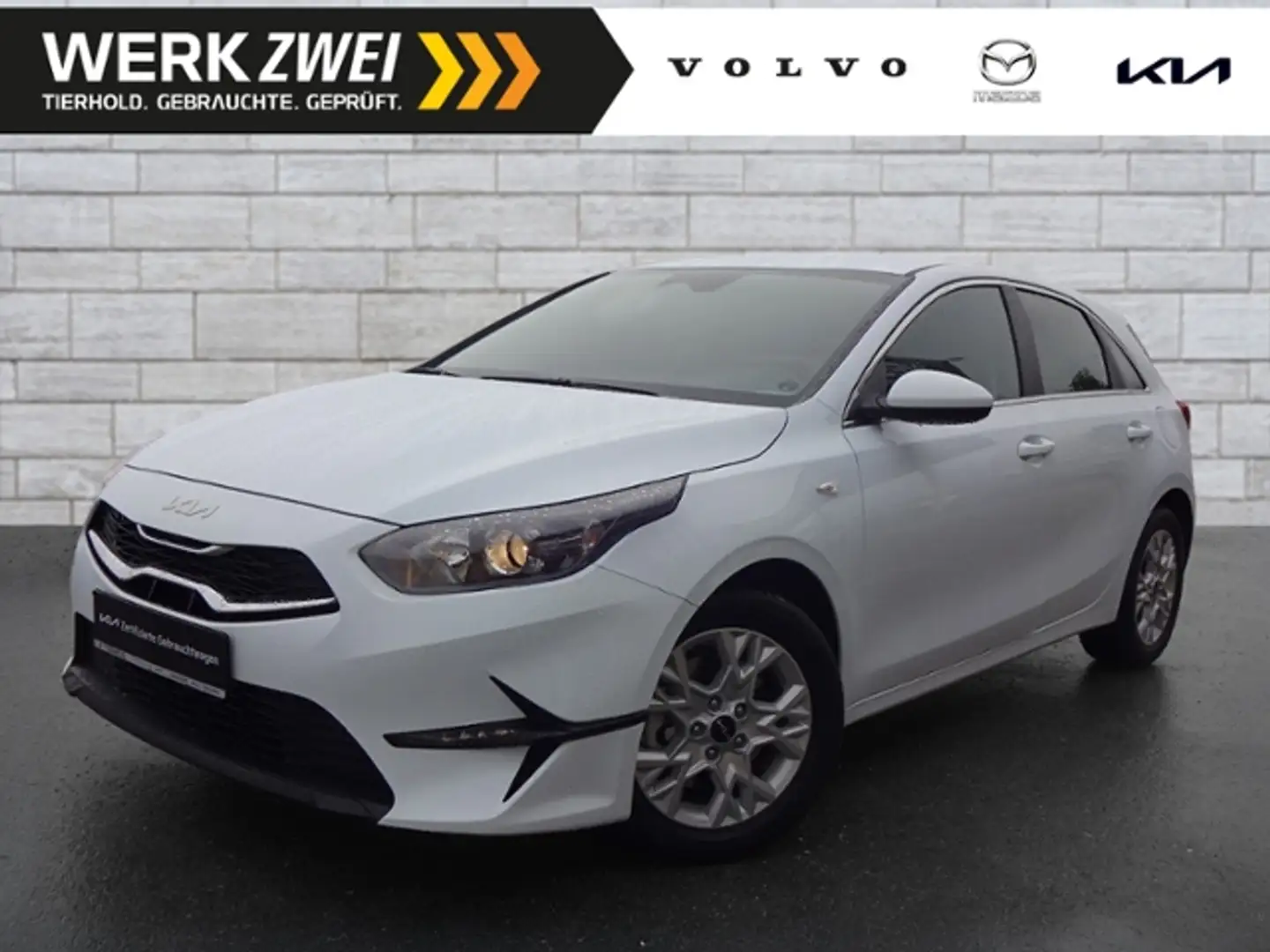 Kia Ceed / cee'd 1,5 Vision Kamera DAB Navi Weiß - 1
