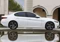 Alfa Romeo Giulia 2.2 Diesel Veloce Q4 Aut. 210 - thumbnail 15