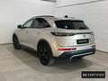 DS Automobiles DS 7 Crossback 1.5BlueHDi Performance Line Aut. Grau - thumbnail 7