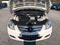 Mercedes-Benz B 170 Autotronic*Park-Assistent*Licht-/Sicht-Paket*3.Hd* Weiß - thumbnail 3