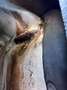 Mercedes-Benz 500 SL Remise A Niveau Etat Neuf 4 Places - thumbnail 32