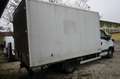 Iveco Daily Koffer Weiß - thumbnail 5