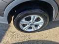 Ford Kuga Kuga 2.0 TDCI 150 CV S&S 2WD Business Grigio - thumbnail 14