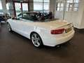 Audi A5 Cabriolet 1.8 TFSI Pro S-Line | Automaat | Lederen Blanc - thumbnail 19