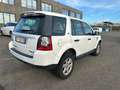 Land Rover Freelander Freelander II 2011 2.2 td4 S 150cv Blanc - thumbnail 4