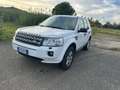 Land Rover Freelander Freelander II 2011 2.2 td4 S 150cv Blanc - thumbnail 1