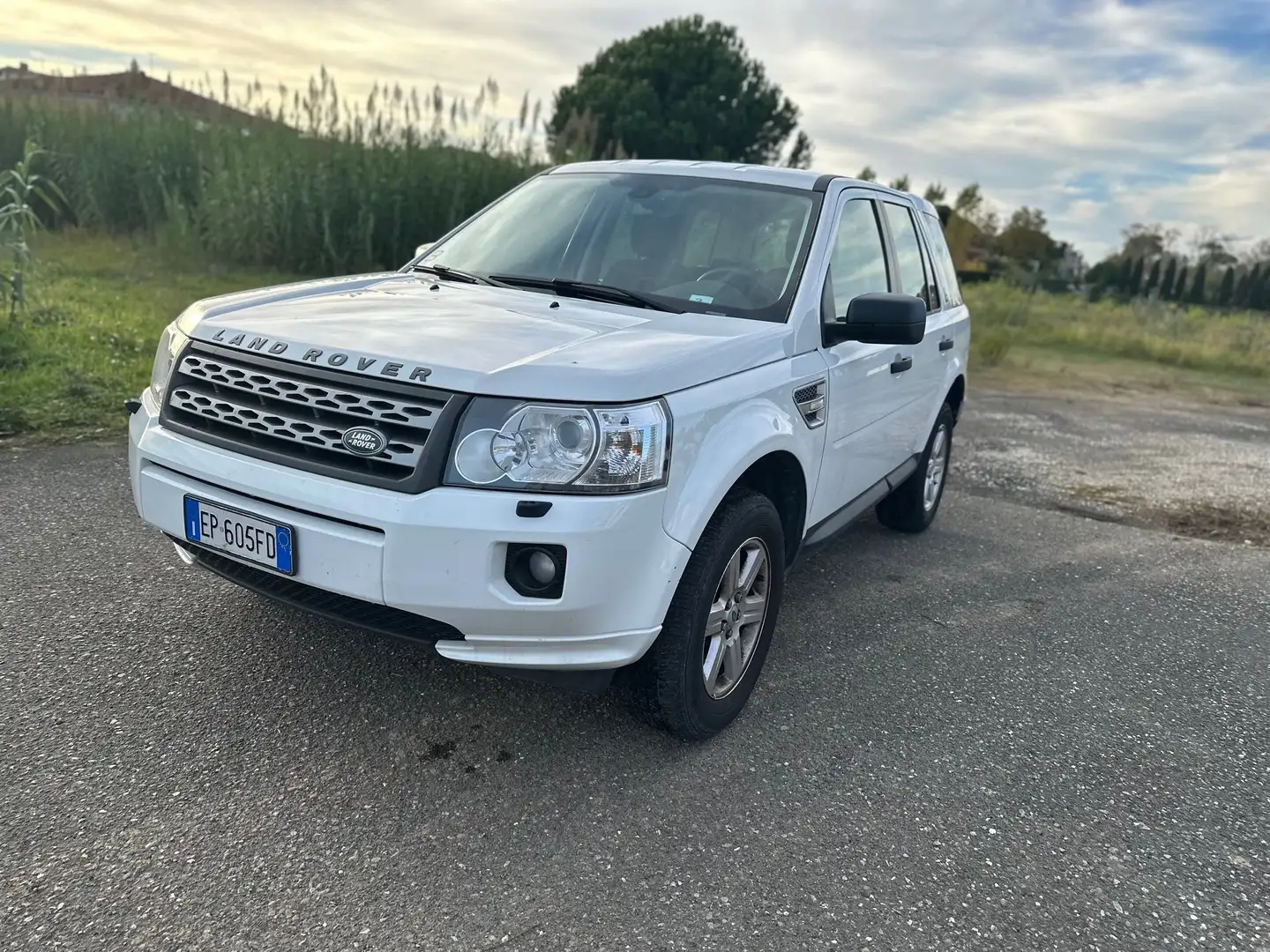 Land Rover Freelander Freelander II 2011 2.2 td4 S 150cv Blanc - 1