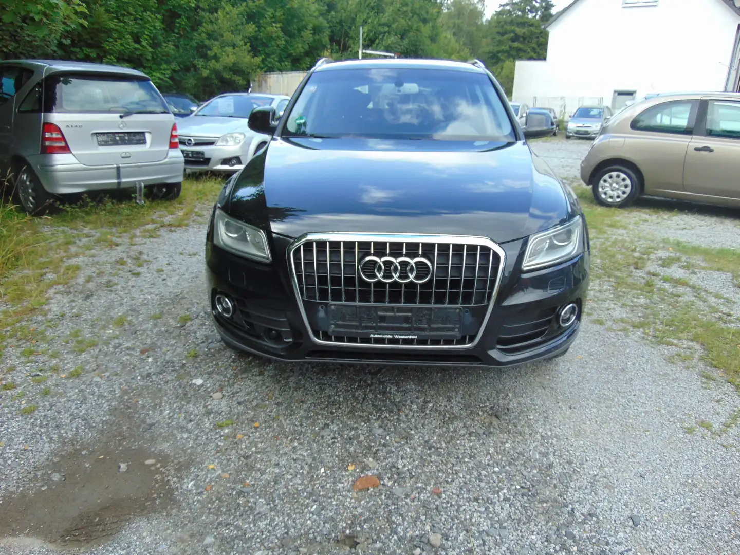 Audi Q5 2.0 TDI (130 kW) quattro Schwarz - 1