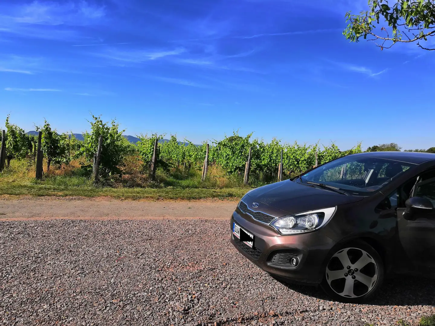 Kia Rio Rio 1.4 Spirit Braun - 1