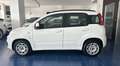Fiat Panda Panda III 2016 1.3 mjt 16v Easy s Blanc - thumbnail 3