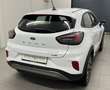 Ford Puma 1,0 EcoBoost Hybrid Titanium *Tempomat* Weiß - thumbnail 5