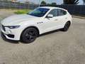 Maserati Levante Levante 2021 3.0 V6 Gransport 350cv auto Bianco - thumbnail 4