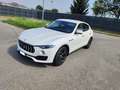 Maserati Levante Levante 2021 3.0 V6 Gransport 350cv auto Bianco - thumbnail 1