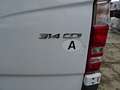 Mercedes-Benz Sprinter Sprinter 314CDI KW RS 3625 Weiß - thumbnail 6