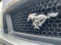 Ford Mustang 5,0 Ti-VCT V8 GT Cabrio Aut. Silber - thumbnail 32