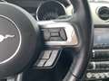 Ford Mustang 5,0 Ti-VCT V8 GT Cabrio Aut. Silber - thumbnail 17