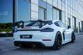 Porsche Cayman GT4 RS PDK Blanco - thumbnail 9