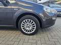 Fiat Punto Evo Punto Evo 1.2 5 porte Dynamic Grigio - thumbnail 16