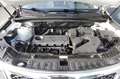 Kia Sorento 2.4 X-ecutive Blanco - thumbnail 22