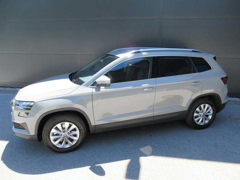 Skoda Karoq 4x4 Selection TDI DSG — photo 3