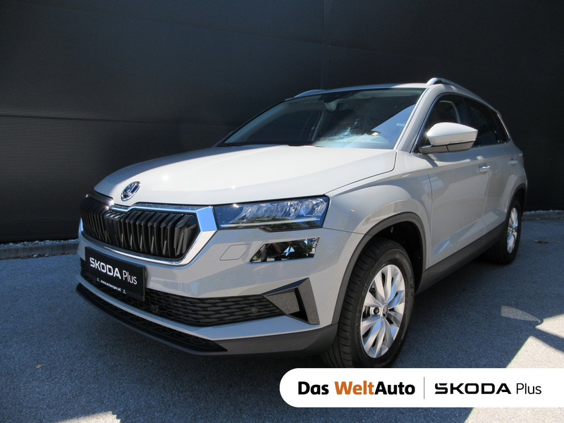 Skoda Karoq 4x4 Selection TDI DSG