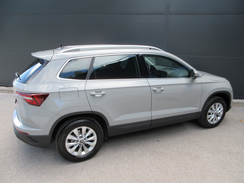 Skoda Karoq 4x4 Selection TDI DSG — photo 7