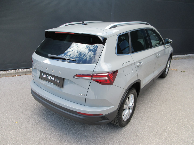 Skoda Karoq 4x4 Selection TDI DSG — photo 6
