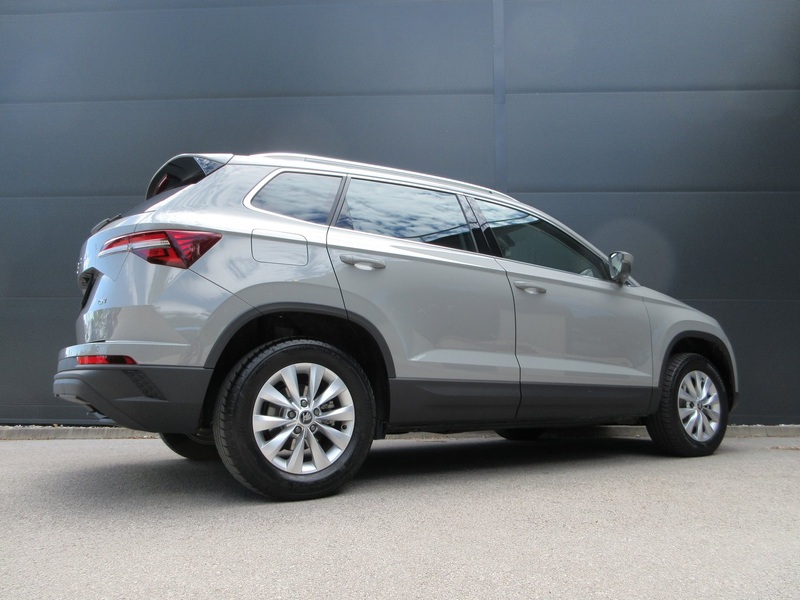 Skoda Karoq 4x4 Selection TDI DSG — photo 8